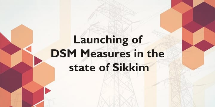 Launch Ceremony for DSM Measures at Department of Power, Government of Sikkim