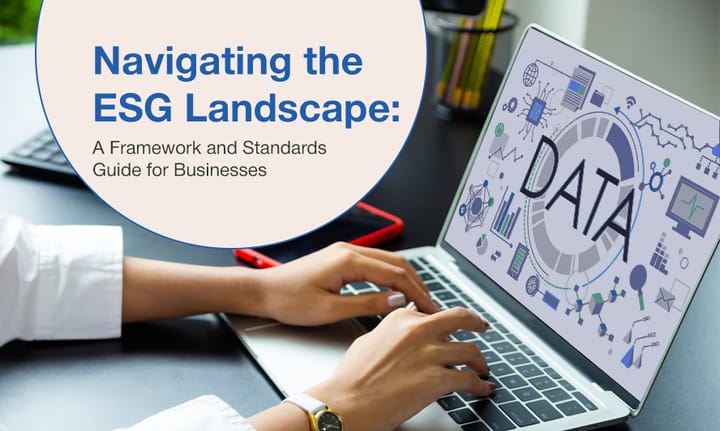 Navigating the ESG Landscape: A Framework and Standard Guide for Businesses